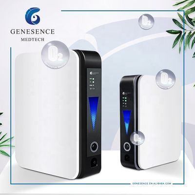 품질  For Home Use 1L Mini Flow Portable In-car Oxygen Concentrator, Home Oxygen Making Machine, Nebulizer Machine 공장